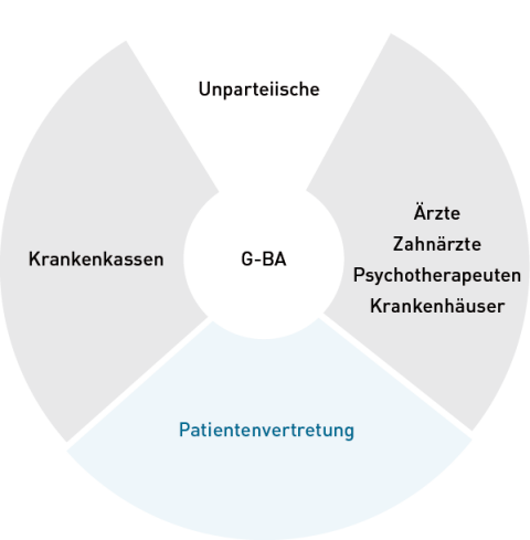 Visualisierung der vier vertretenen Gruppen im G-BA